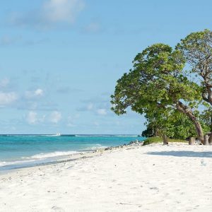 Dharavandhoo